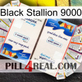 Black Stallion 9000 kamagra1